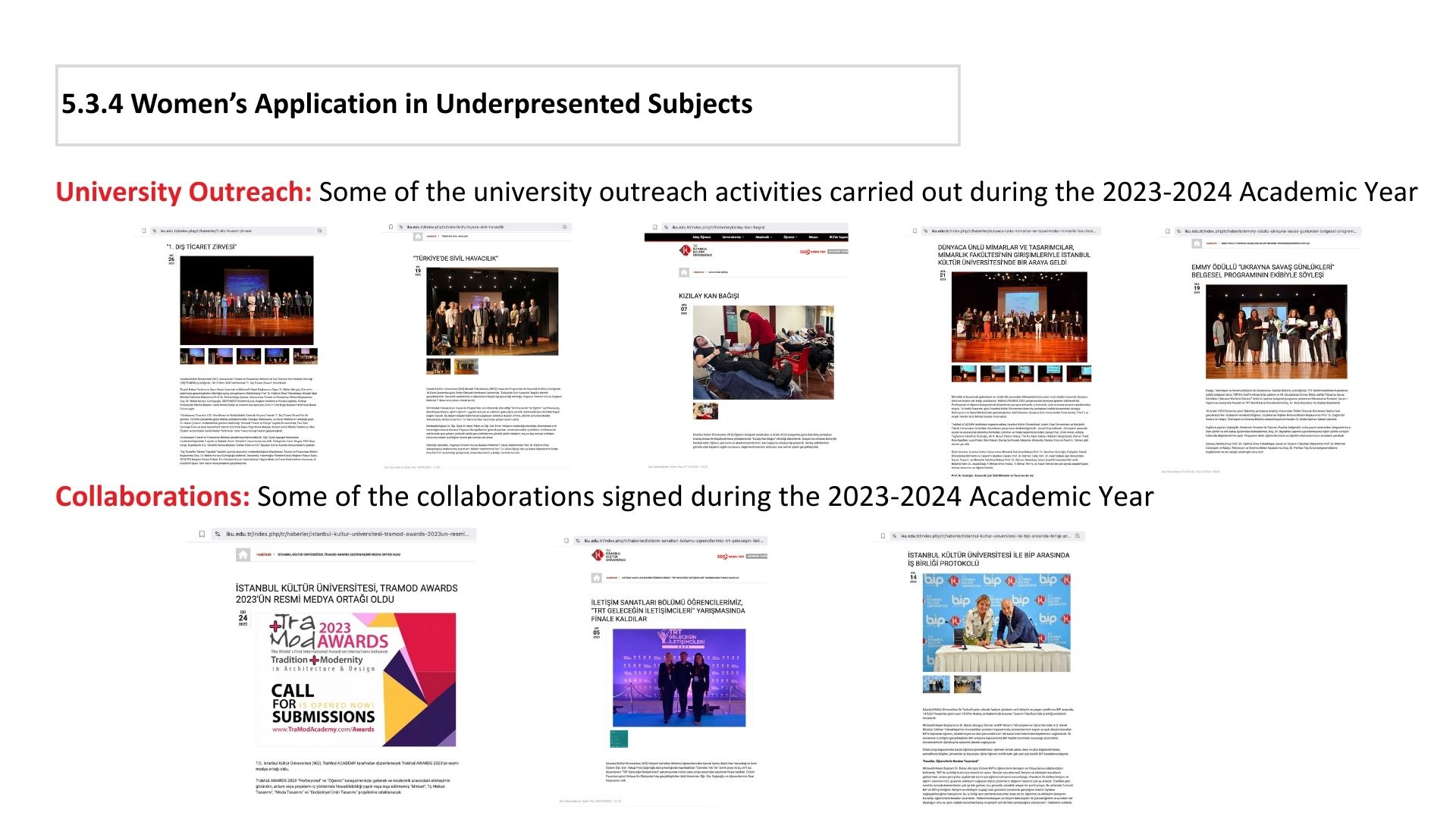 5.3.4 Women’s Application in Underpresented Subjects